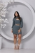 Conjunto CRIS na internet
