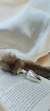 Plug Anal com Rabo de Pelúcia - comprar online