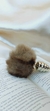 Plug Anal Com Pompom de Pelúcia na internet