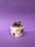 vaso florzinhas