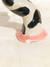 Castical Moo (pequeno defeito na base) na internet