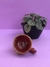 caneca bizoiando - comprar online