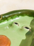Avocado Zen na internet