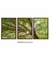 Trio Quadro Decorativo Paisagem Árvore Verde -  Art Creative Quadros | Quadros Decorativos de Alto Padrão