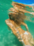 Bottom Ana fio com regulador - comprar online