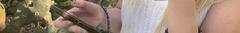 Banner de la categoría . STRAPS