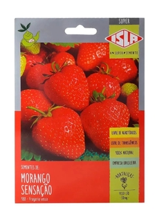 Sementes Morango Sensação Sem Agrotóxico Isla
