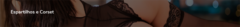 Banner da categoria Espartilhos
