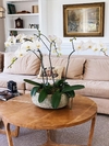 Centro de mesa Orquideas - comprar online