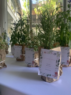 Plantines con tarjeton para souvenir pack x 10 en internet