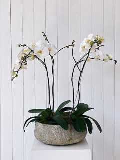 Centro de mesa Orquideas - Fête_ba