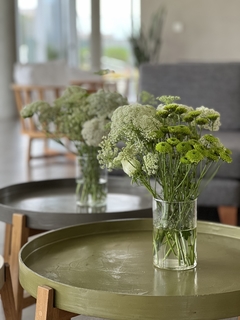 Set de 3 arreglos verdes chicos en florero cilindrico
