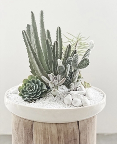 Imagen de Jardin de suculentas redondo grande