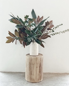 Ramo Magnolia en internet