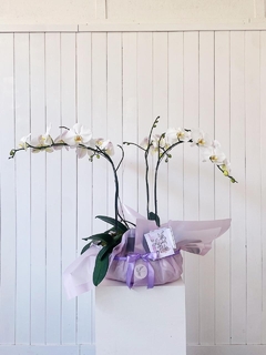 Centro de mesa Orquideas - tienda online
