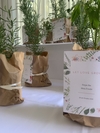 Plantines con tarjeton para souvenir pack x 10