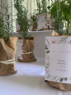 Plantines con tarjeton para souvenir pack x 10