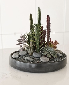 Jardin de suculentas redondo chico - tienda online