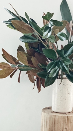 Ramo Magnolia - comprar online