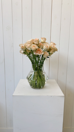 Florero Bari - Fête_ba