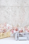 Mini ramitos secos para souvenir pack x 10