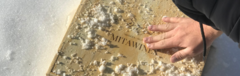 Banner de la categoría VINOS