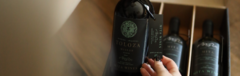 Banner de la categoría TOLOZA