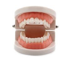 Boca Sensorial - comprar online