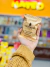 Alfajor Cachafaz x2 unidades en internet