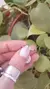 Anillo Tres corazones Strass