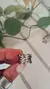 Anillo Ondas