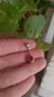 Piercing Ombligo Rojo