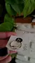 Anillo Infinito Cubics 17 mm E.O.