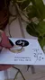 Anillo Doble Frente Cubic 18 mm E.O.