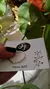 Anillo Cubics Multicolor 17 mm