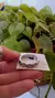 Anillo Ladrillo Relieve 21 mm A.C.