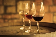 Banner de la categoría Vinos