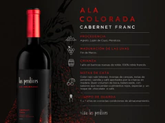 Vino tinto Las Perdices Ala Colorada Cabernet Franc botella x 750. en internet