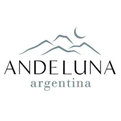 Vino Andeluna Raíces Cabernet Sauvignon botella x 750. - comprar online