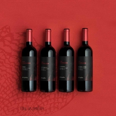 Vino tinto Las Perdices Ala Colorada Ancellotta botella x 750. en internet