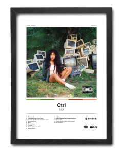 Quadro - SZA (Ctrl) na internet