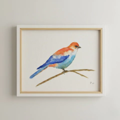 Pajaro