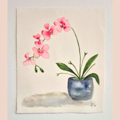 Orquideas - comprar online