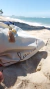 Ecobag Leeom na internet