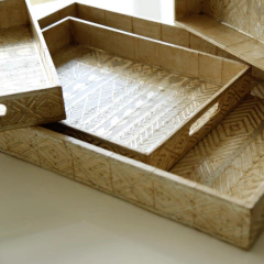 Bandeja Chia en internet