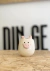 Imagen de Mini maceta animalitos