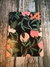 LIBRETA GRADE HOJAS LISAS OLIVERTA