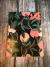 LIBRETA GRADE HOJAS LISAS OLIVERTA