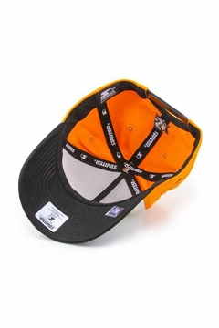 Boné Starter aba curva Snap back - comprar online