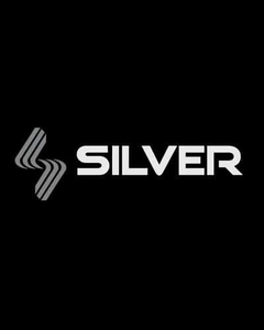 Truck Silver Pro Model Yoshi Tanenbaum 139mm